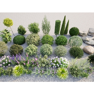 SU素材模型 |  綠植盆栽 Sketchup素材