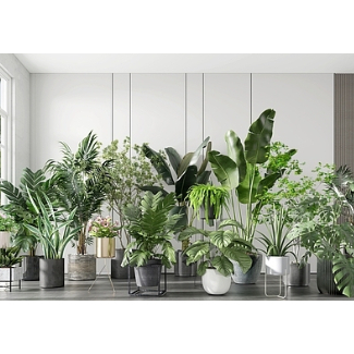 SU素材模型 |  綠植盆栽 Sketchup素材