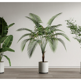 SU素材模型 |  綠植盆栽 Sketchup素材