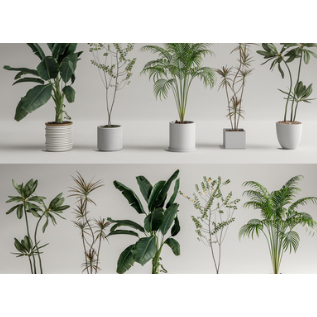 SU素材模型 |  綠植盆栽 Sketchup素材